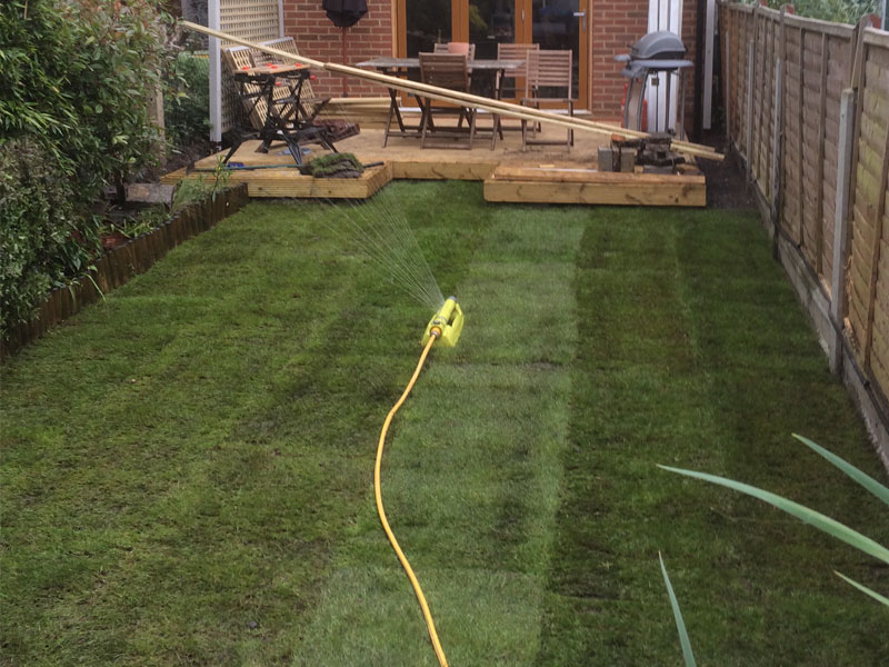 A new lawn layed